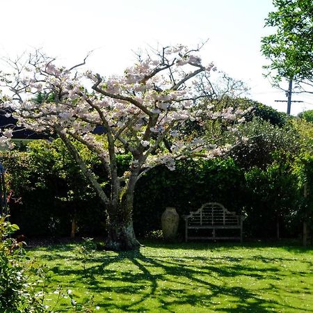 Garden Retreat Apartment Otaki Exterior photo